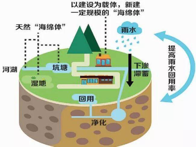 雨水收集利用系統(tǒng)都被應(yīng)用到什么領(lǐng)域？